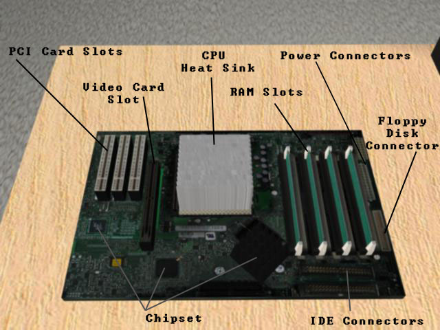 The Computer's Motherboard